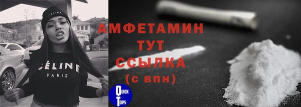 молекула духа Покачи