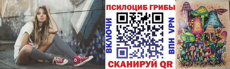 где купить наркоту  Сусуман  Псилоцибиновые грибы Magic Shrooms 
