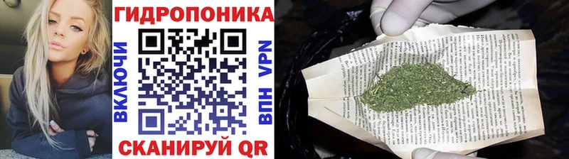 Марихуана Amnesia  Сусуман 